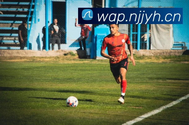 leyu乐鱼官方网站平台生态图