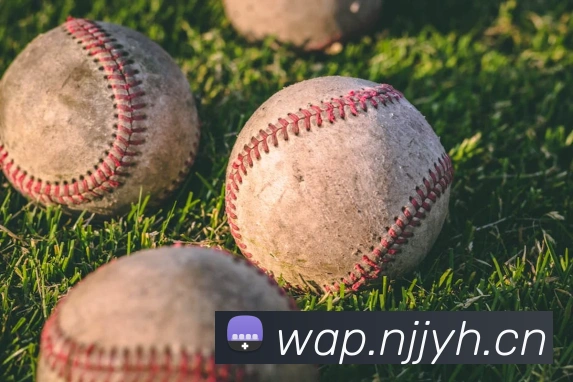 leyu乐鱼官方网站APP 封面图